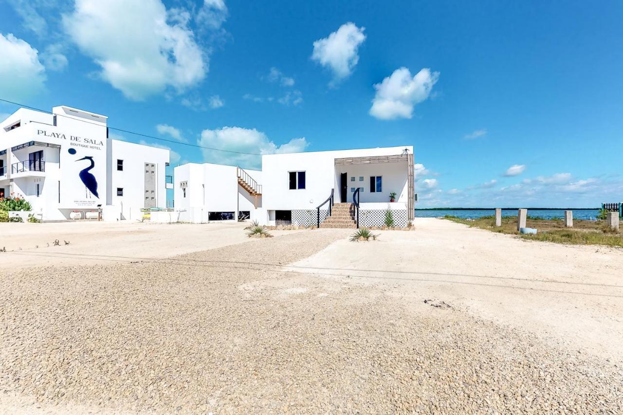 Jackson'S Paradiso Gold Standard Certified San Pedro  Exteriör bild